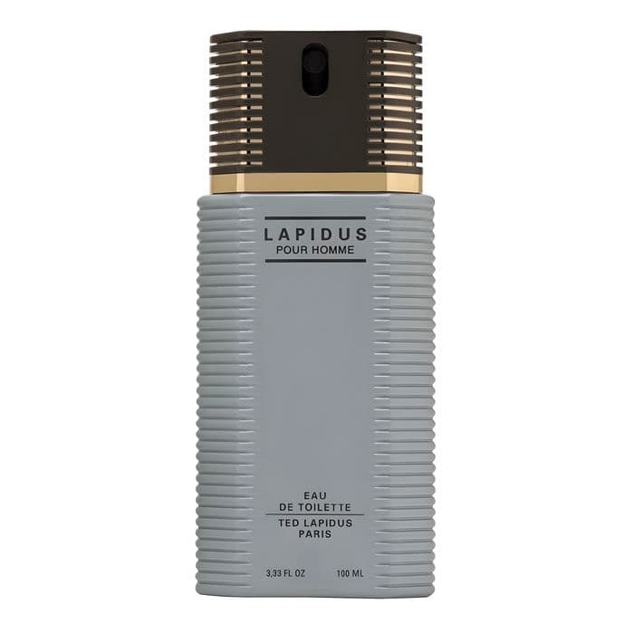 Perfume Lapidus Pour Homme Ted Lapidus Masculino Eau de Toilette 100ml — foto 3 de 4
